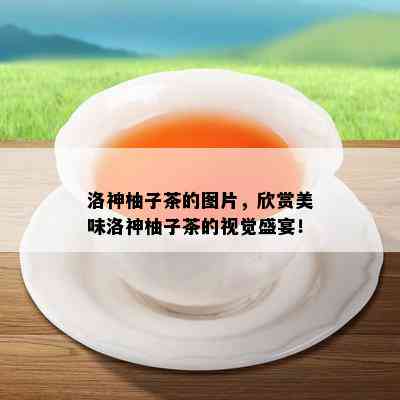 洛神柚子茶的图片，欣赏美味洛神柚子茶的视觉盛宴！