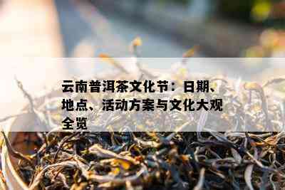 云南普洱茶文化节：日期、地点、活动方案与文化大观全览