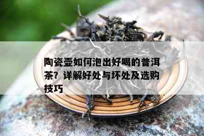 陶瓷壶如何泡出好喝的普洱茶？详解好处与坏处及选购技巧