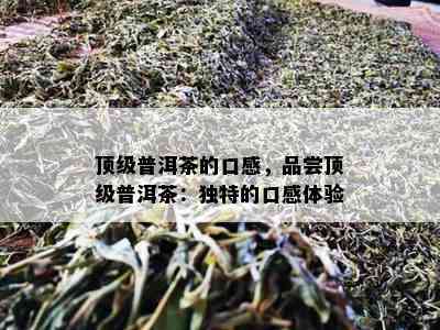 顶级普洱茶的口感，品尝顶级普洱茶：独特的口感体验