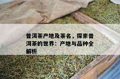 普洱茶产地及茶名，探索普洱茶的世界：产地与品种全解析