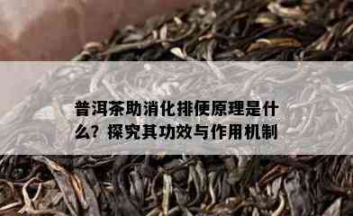 普洱茶助消化排便原理是什么？探究其功效与作用机制