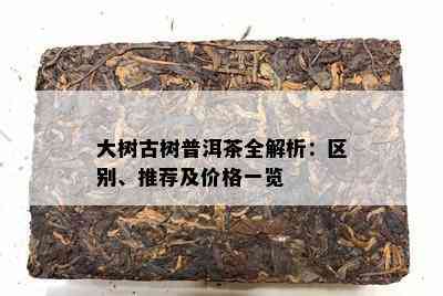 大树古树普洱茶全解析：区别、推荐及价格一览