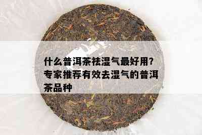 什么普洱茶祛湿气更好用？专家推荐有效去湿气的普洱茶品种