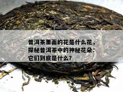 普洱茶里面的花是什么花，探秘普洱茶中的神秘花朵：它们到底是什么？