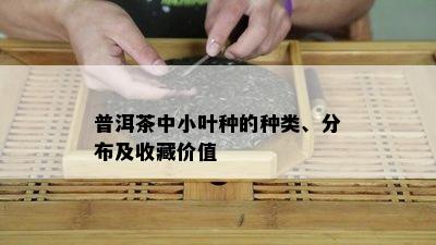 普洱茶中小叶种的种类、分布及收藏价值