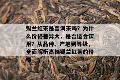 锡兰红茶是普洱茶吗？为什么价格差异大，是否适合饮用？从品种、产地到等级，全面解析高档锡兰红茶的价格