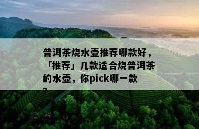 普洱茶烧水壶推荐哪款好，「推荐」几款适合烧普洱茶的水壶，你pick哪一款？