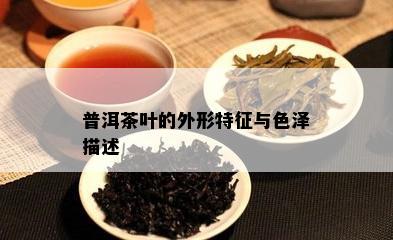 普洱茶叶的外形特征与色泽描述