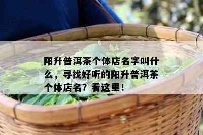 阳升普洱茶个体店名字叫什么，寻找好听的阳升普洱茶个体店名？看这里！