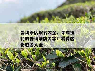 普洱茶店取名大全，寻找独特的普洱茶店名字？看看这份取名大全！