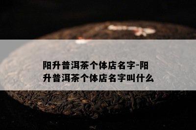 阳升普洱茶个体店名字-阳升普洱茶个体店名字叫什么