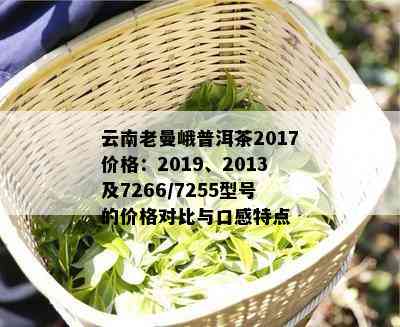 云南老曼峨普洱茶2017价格：2019、2013及7266/7255型号的价格对比与口感特点