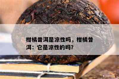 柑橘普洱是凉性吗，柑橘普洱：它是凉性的吗？