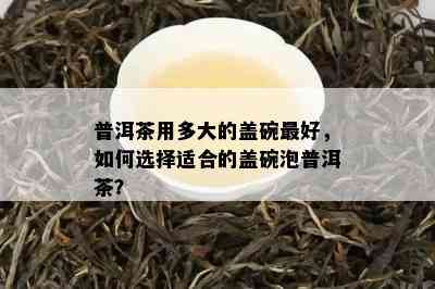 普洱茶用多大的盖碗更好，如何选择适合的盖碗泡普洱茶？