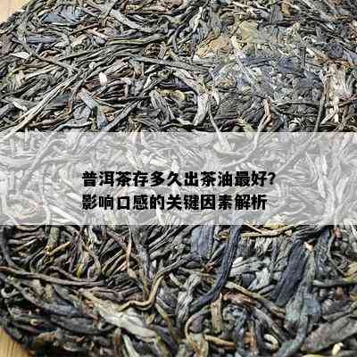 普洱茶存多久出茶油更好？影响口感的关键因素解析