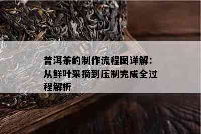 普洱茶的制作流程图详解：从鲜叶采摘到压制完成全过程解析