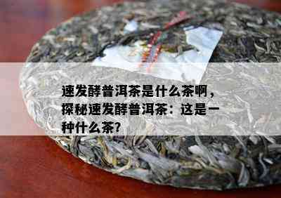 速发酵普洱茶是什么茶啊，探秘速发酵普洱茶：这是一种什么茶？