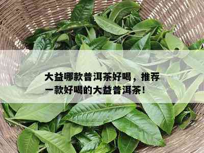 大益哪款普洱茶好喝，推荐一款好喝的大益普洱茶！