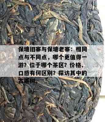 保塘旧寨与保塘老寨：相同点与不同点，哪个更值得一游？位于哪个茶区？价格、口感有何区别？探访其中的古茶树。