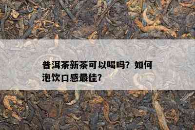 普洱茶新茶可以喝吗？如何泡饮口感更佳？