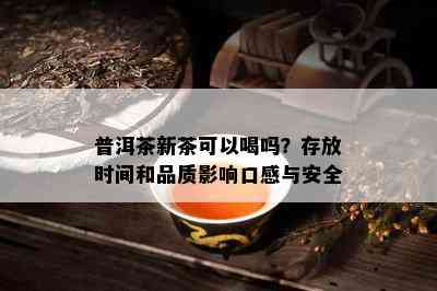 普洱茶新茶可以喝吗？存放时间和品质影响口感与安全