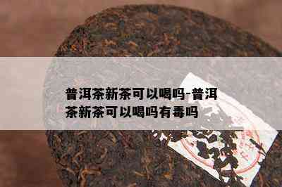 普洱茶新茶可以喝吗-普洱茶新茶可以喝吗有吗