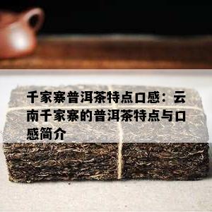 千家寨普洱茶特点口感：云南千家寨的普洱茶特点与口感简介