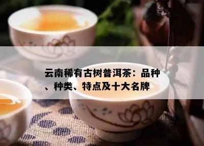 云南稀有古树普洱茶：品种、种类、特点及十大名牌