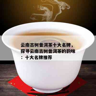 云南古树普洱茶十大名牌，探寻云南古树普洱茶的韵味：十大名牌推荐