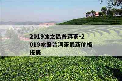 2019冰之岛普洱茶-2019冰岛普洱茶最新价格报表