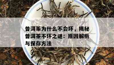 普洱茶为什么不会坏，揭秘普洱茶不坏之谜：原因解析与保存方法