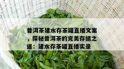 普洱茶建水存茶罐直播文案，探秘普洱茶的完美存储之道：建水存茶罐直播实录