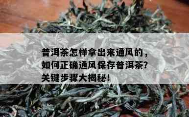 普洱茶怎样拿出来通风的，如何正确通风保存普洱茶？关键步骤大揭秘！