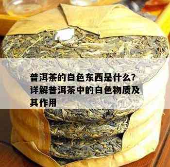 普洱茶的白色东西是什么？详解普洱茶中的白色物质及其作用