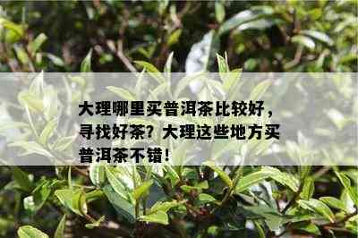 大理哪里买普洱茶比较好，寻找好茶？大理这些地方买普洱茶不错！