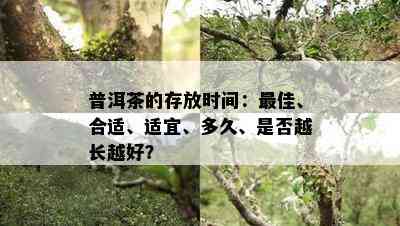 普洱茶的存放时间：更佳、合适、适宜、多久、是否越长越好？