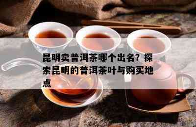 昆明卖普洱茶哪个出名？探索昆明的普洱茶叶与购买地点