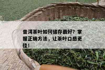 普洱茶叶如何储存更好？掌握正确方法，让茶叶口感更佳！