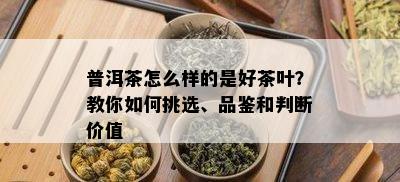 普洱茶怎么样的是好茶叶？教你如何挑选、品鉴和判断价值