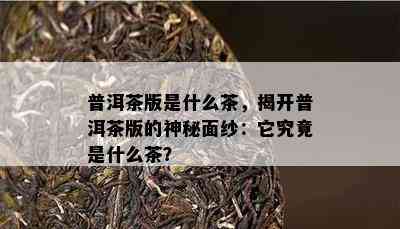 普洱茶版是什么茶，揭开普洱茶版的神秘面纱：它究竟是什么茶？