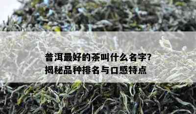 普洱更好的茶叫什么名字？揭秘品种排名与口感特点