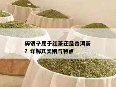 碎银子属于红茶还是普洱茶？详解其类别与特点