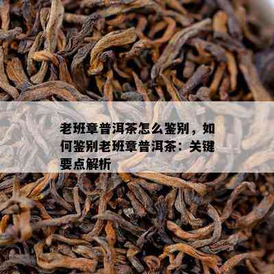 老班章普洱茶怎么鉴别，如何鉴别老班章普洱茶：关键要点解析