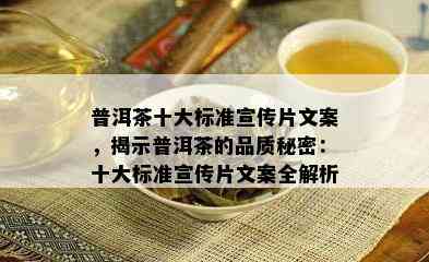 普洱茶十大标准宣传片文案，揭示普洱茶的品质秘密：十大标准宣传片文案全解析