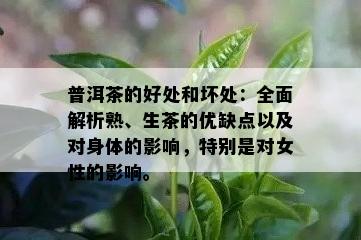 普洱茶的好处和坏处：全面解析熟、生茶的优缺点以及对身体的影响，特别是对女性的影响。