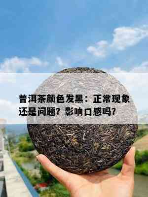 普洱茶颜色发黑：正常现象还是问题？影响口感吗？