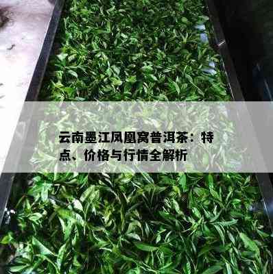 云南墨江凤凰窝普洱茶：特点、价格与行情全解析