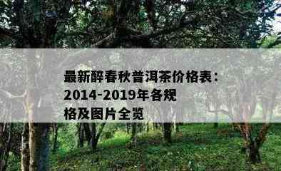 最新醉春秋普洱茶价格表：2014-2019年各规格及图片全览