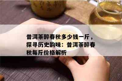 普洱茶醉春秋多少钱一斤，探寻历史韵味：普洱茶醉春秋每斤价格解析